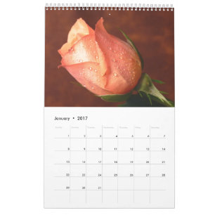 Calendario individual de rosas 2017