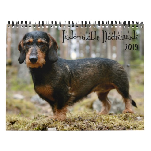 Calendario Indomable Año Personalizado Dachshunds (Tapa)