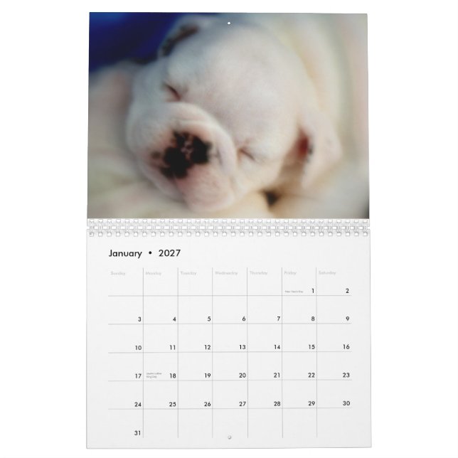 Calendario inglés de los perritos 2012 del bulldog (Jan 2027)