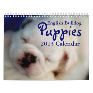 Calendario inglés de los perritos 2013 del bulldo