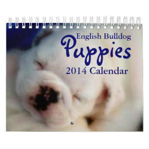 Calendario inglés de los perritos 2014 del bulldo