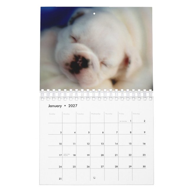 Calendario inglés de los perritos 2015 del bulldog (Jan 2027)