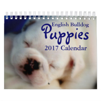 Calendario inglés de los perritos 2017 del bulldog