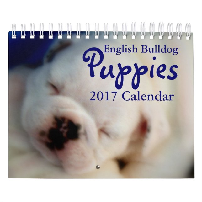 Calendario inglés de los perritos 2017 del bulldog (Tapa)