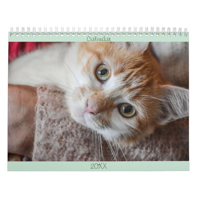Calendario inglés y EE. UU. lindo gatos (Tapa)