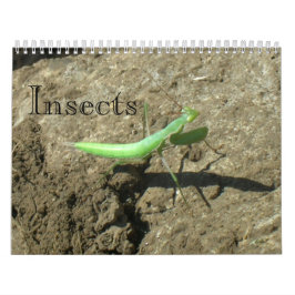 Calendario - Insectos