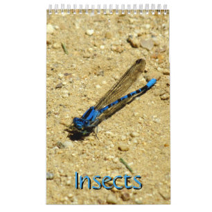 Calendario - Insectos con mosca
