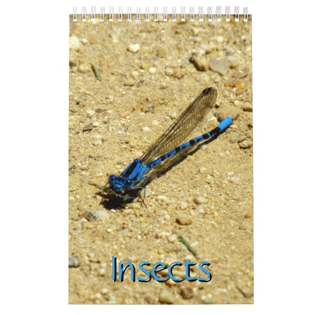 Calendario - Insectos con mosca (Tapa)