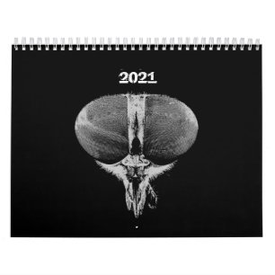 Calendario Insectos - Errores - Insectos Mascotas