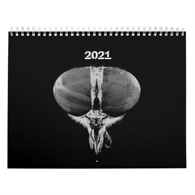 Calendario Insectos - Errores - Insectos Mascotas (Tapa)