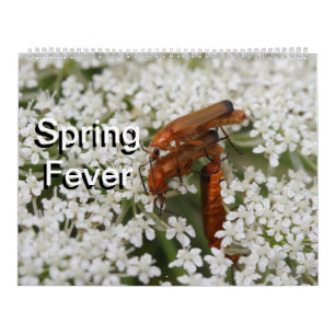 Calendario Insectos Macros 2024 Kalender