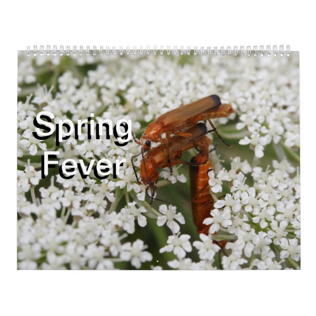 Calendario Insectos Macros 2024 Kalender (Tapa)
