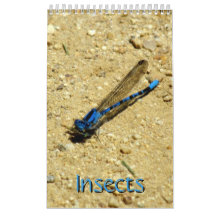 Calendario - Insectos vol.2
