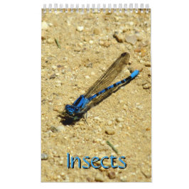 Calendario - Insectos vol.2