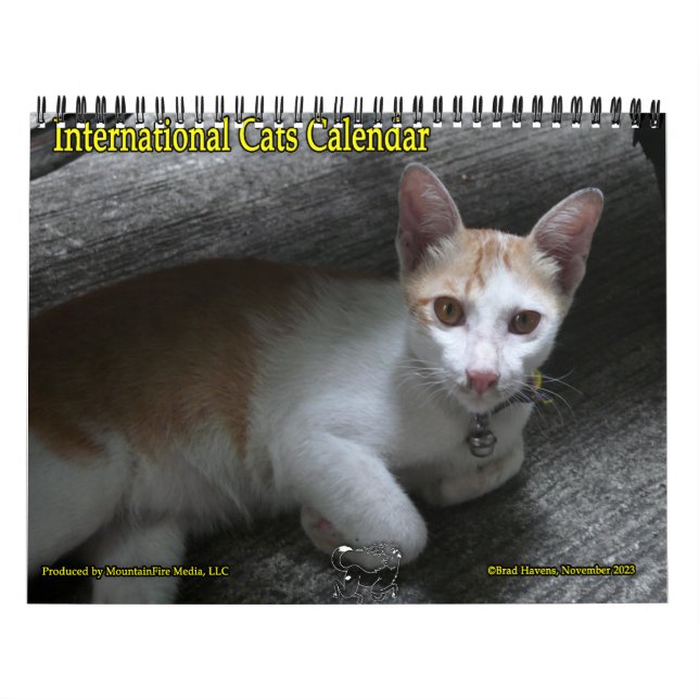 Calendario internacional de gatos (Tapa)