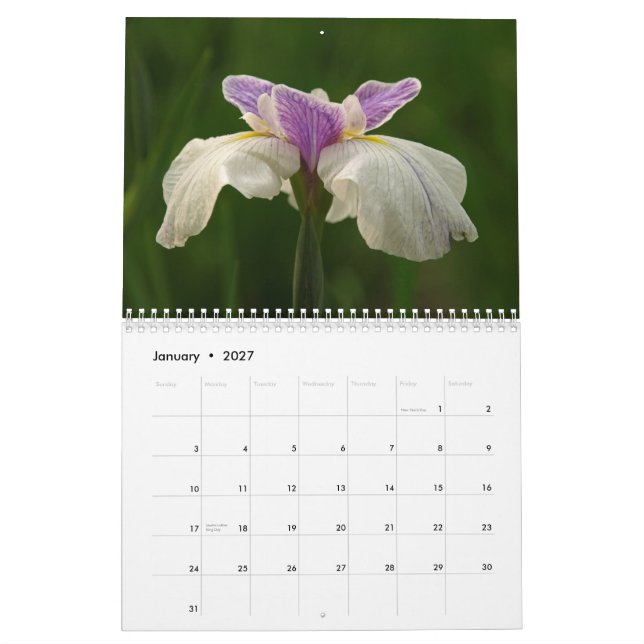 Calendario Iris 2009 (Jan 2027)