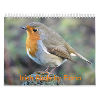 Calendario irlandés de los pájaros
