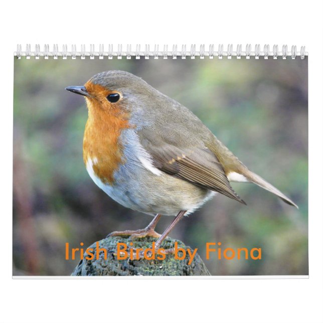 Calendario irlandés de los pájaros (Tapa)