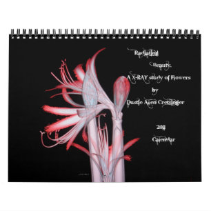 Calendario Irradiando la belleza (un estudio de la