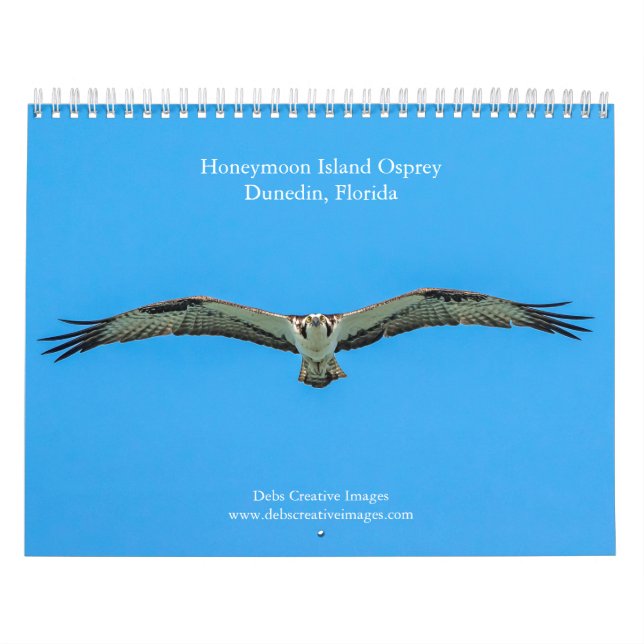 Calendario Isla Honeymoon Osprey 2026 (Tapa)