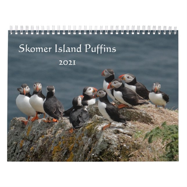 Calendario Isla Skomer - Gales 2021 (Tapa)