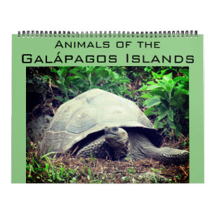 Calendario islas galápagos animales 2026 grande