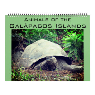 Calendario islas galápagos animales 2026 grande