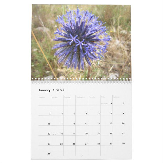 Calendario Israel (Jan 2027)