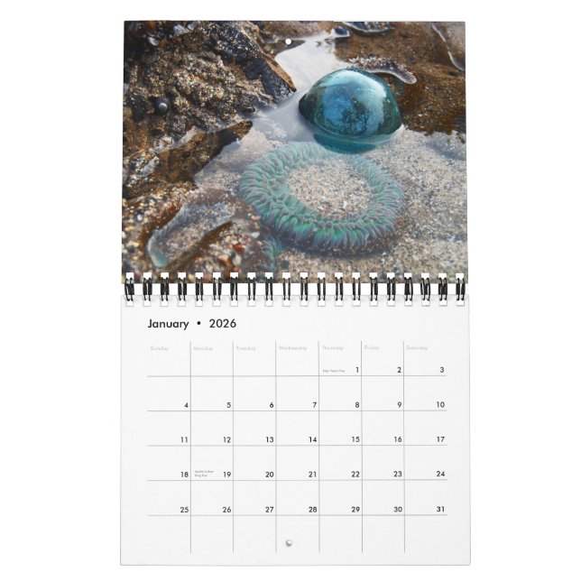 Calendario japonés de flotación de vidrio 2013 (Jan 2026)