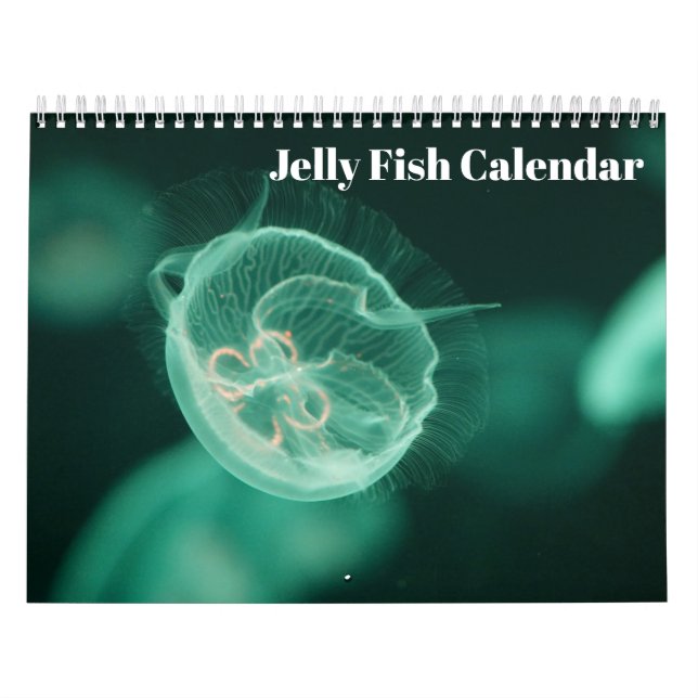 Calendario Jellyfish 2025 (Tapa)