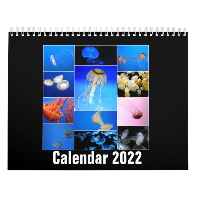 Calendario Jellyfish Custom Printed Calendar 2022 (Tapa)