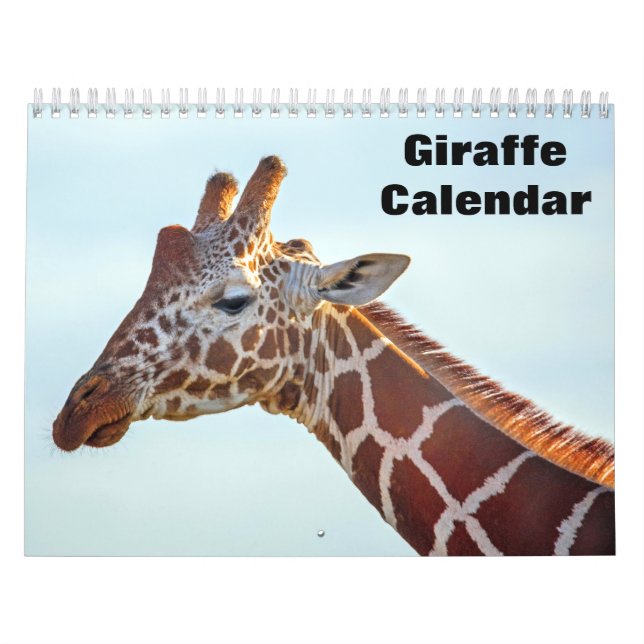 Calendario Jirafa 2027 (Tapa)