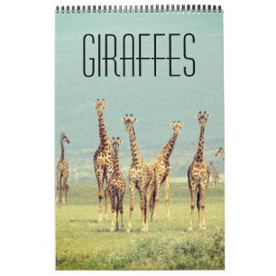 Calendario jirafa safari africano