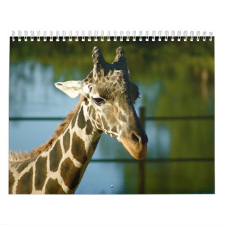 Calendario Jirafas
