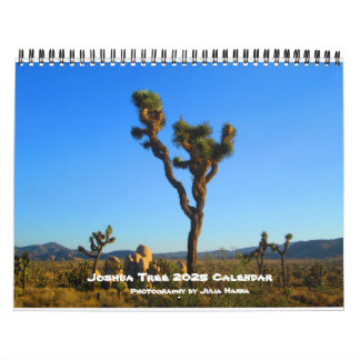Calendario Joshua Tree 2022 Por Julia Hanna Calendar