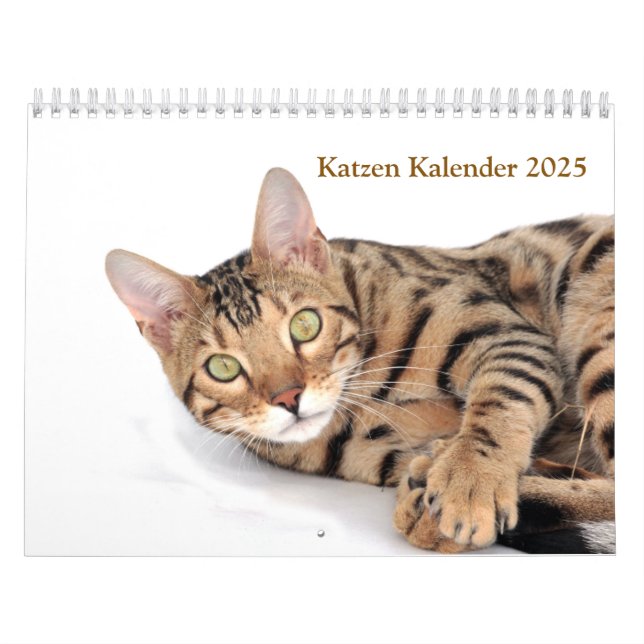 Calendario Kalender 2025 Cat Lover Katzen (Tapa)