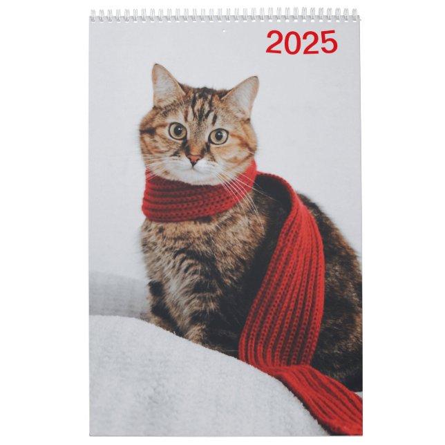 Calendario Kalender 2025 Cat Lover Katzen (Tapa)