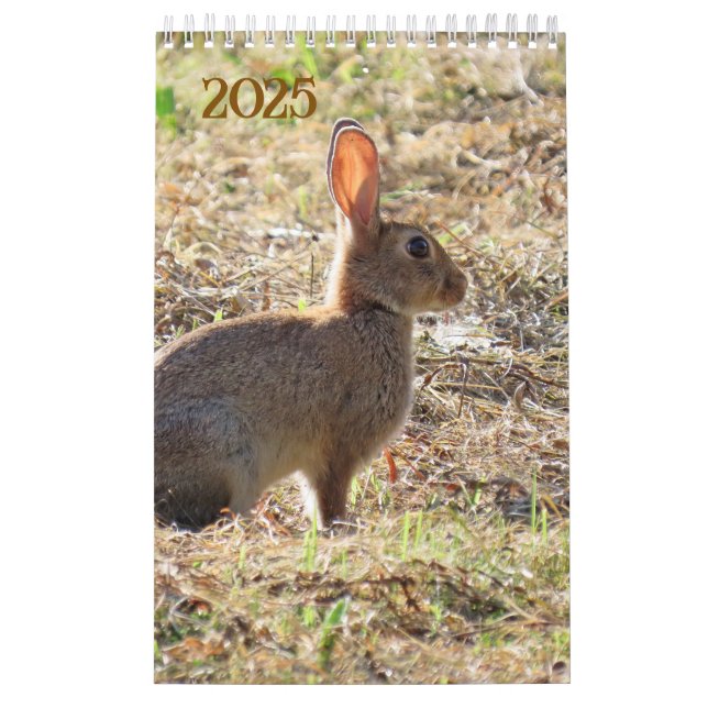 Calendario Kalender met afbeeldingen van de natuur (Tapa)