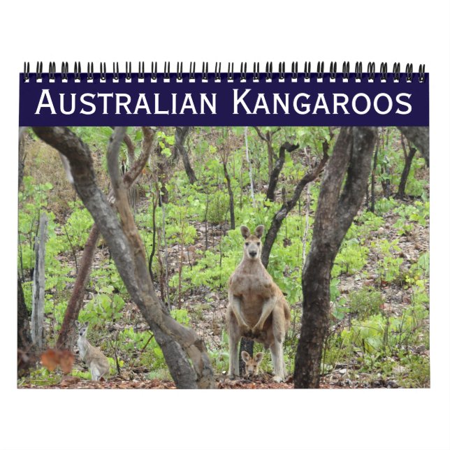 Calendario kangaros australianos 2025 (Tapa)