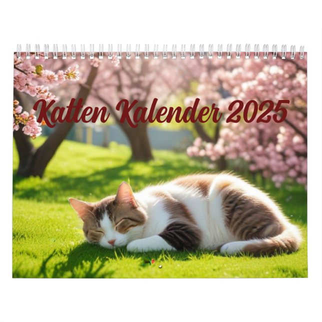 Calendario Katten Kalender 2025 (Tapa)