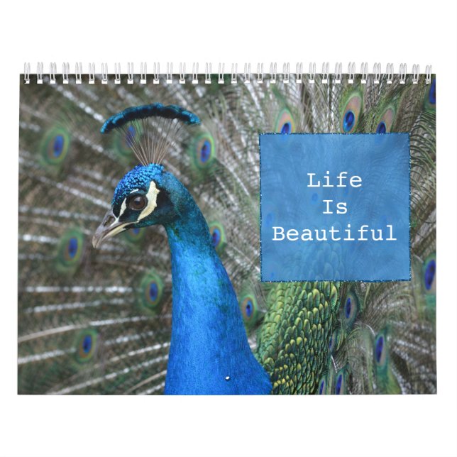 Calendario Kauai Peacock Feathers (Tapa)