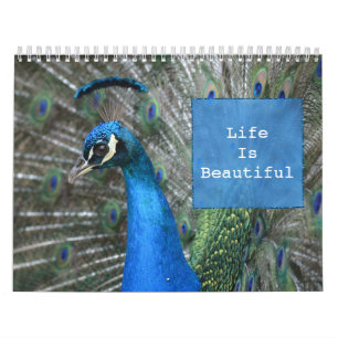 Calendario Kauai Peacock Feathers