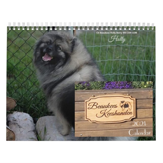 Calendario Keeshond 2021 (Tapa)
