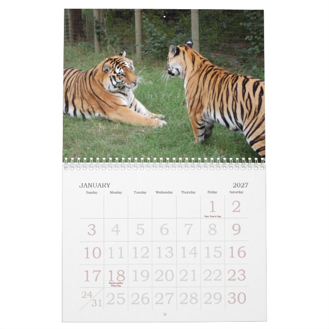 Calendario khan-n-china010, Shere Khan y China Dollthe B… (Jan 2027)