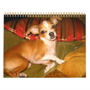 calendario kiko