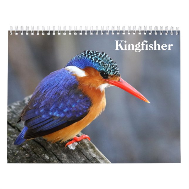 Calendario Kingfisher 2025 (Tapa)