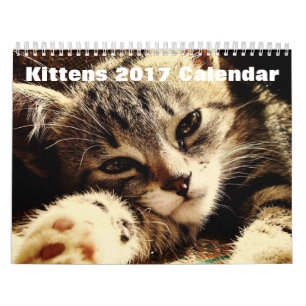 Calendario Kittens 2017