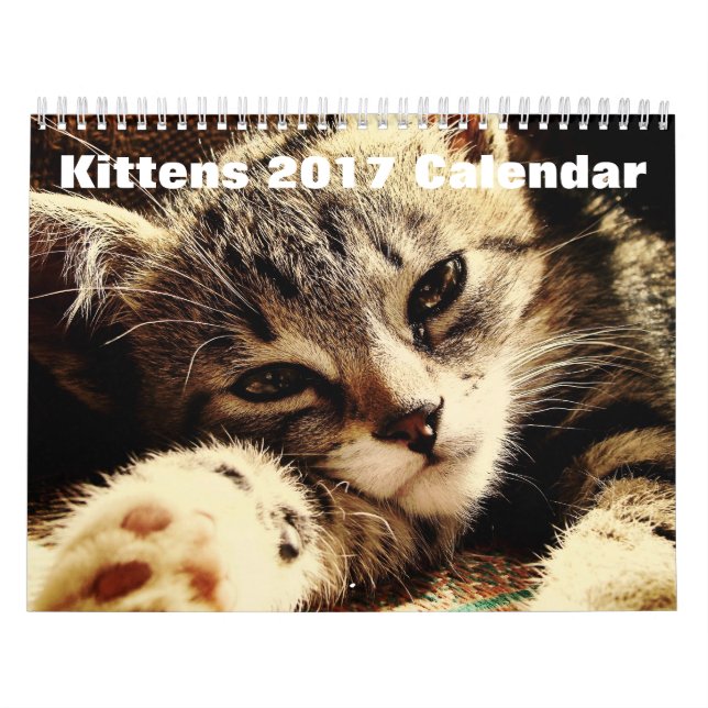 Calendario Kittens 2017 (Tapa)