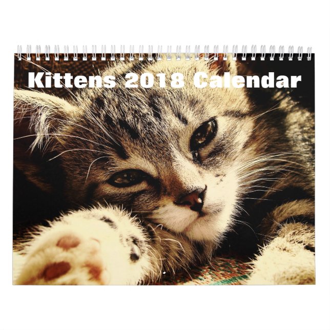 Calendario Kittens 2018 (Tapa)