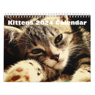 Calendario Kittens 2024